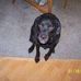 Brendan Dougherty - Facebook