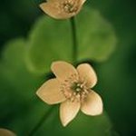 Brendan Dougherty - @bdoughertz - Instagram