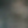 Brendan Dowdall - @brendandowdall - TikTok