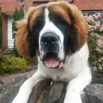 Brendan Dowds - @brendandowds - Instagram