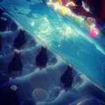 Brendan Gross - @styxbuggychell - Instagram