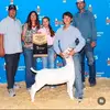 Brendan Gross - @brendan.gross6 - TikTok