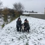 Brendan Harris - @brendan.harris66 - Instagram