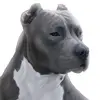 brendanharris525 - @brendanharris525 - TikTok