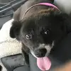 Brendan Horner - @brendan.horner - TikTok