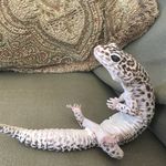 Brendan Long - @brendanlong1540 - Instagram