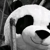 brendanlong03 - @brendanlong03 - TikTok