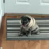 user013840 - @brendan.long_ - TikTok