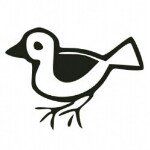 Brendan Lyons - @bird_the_word - Instagram