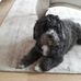 Brendan Maher - Facebook