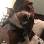 Brendan Nolan - @breadbin.running - Instagram