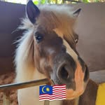 Stephen Ong - @brendanongkuok - Instagram