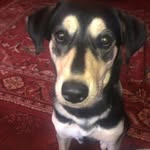Brendan Potter - @brendan.potter.927 - Instagram