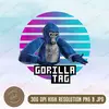 brendanramirez57 - @brendanramirez57 - TikTok