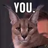 Brendan Ray - @big.papa50 - TikTok