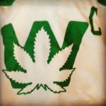 Brendan Raymond - @captaincannabis93 - Instagram