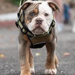 Brendan Raymond - Facebook