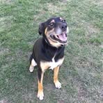 Brendan Rees - Facebook