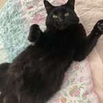 @brendanreese67 - Instagram
