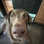 Brendan - @brendan_reyes7 - Instagram