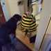 Brenden Root - Facebook