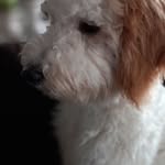 Brendan Rudd - @rudd.brendan - Instagram