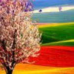 brendanrudd44 - @brendanrudd44 - Instagram