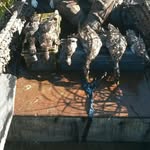 Brendan Rushing - @brendanrushing1 - Instagram
