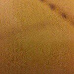 Brendan Saunders - @gggbbh - Instagram