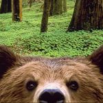 Brendan Saunders - @racoon_man46 - Instagram
