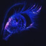 Brendan Schaefer - @brendan__schaefer - Instagram