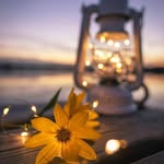 @brendanschaefer531 - Instagram