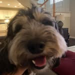 Brendan Shields - @shields.41 - Instagram