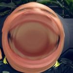 Brendan Tobin - @tobtron - Instagram