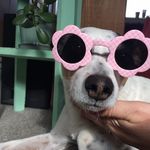 Brendan Tobin - @brendanftobin - Instagram