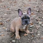 Brendan Wall - @spud.french - Instagram