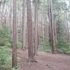 Brendan Williamson - @brendan.williamso4 - TikTok