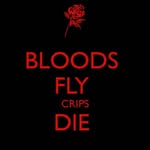 brendanwisecup - @brendanwisecup - Instagram