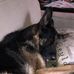 Brenden Hall - Facebook