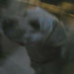 Brenden Smith - @brenden.smith.5496 - Instagram