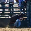 brenden smith - @brenden_smith12 - TikTok