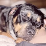 Brenden Smith - Facebook