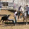 Brenden Smith - @brenden.smith48 - TikTok