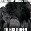 Papabear0u812 - @brendenstevenson - TikTok