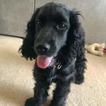 brendon allen - @brendonallen5 - Instagram