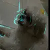 Brendon Bryan - @brendon.bryan1 - TikTok