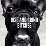 brendon meyer - @brendonmeyer5 - Instagram