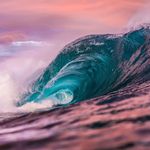 Brendon Shaw Photography - @brendonshawphotography - Instagram