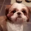Brendon Wright - @brendon.wright - TikTok