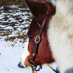 Brenna Johnston - @brennajohnston471 - Instagram